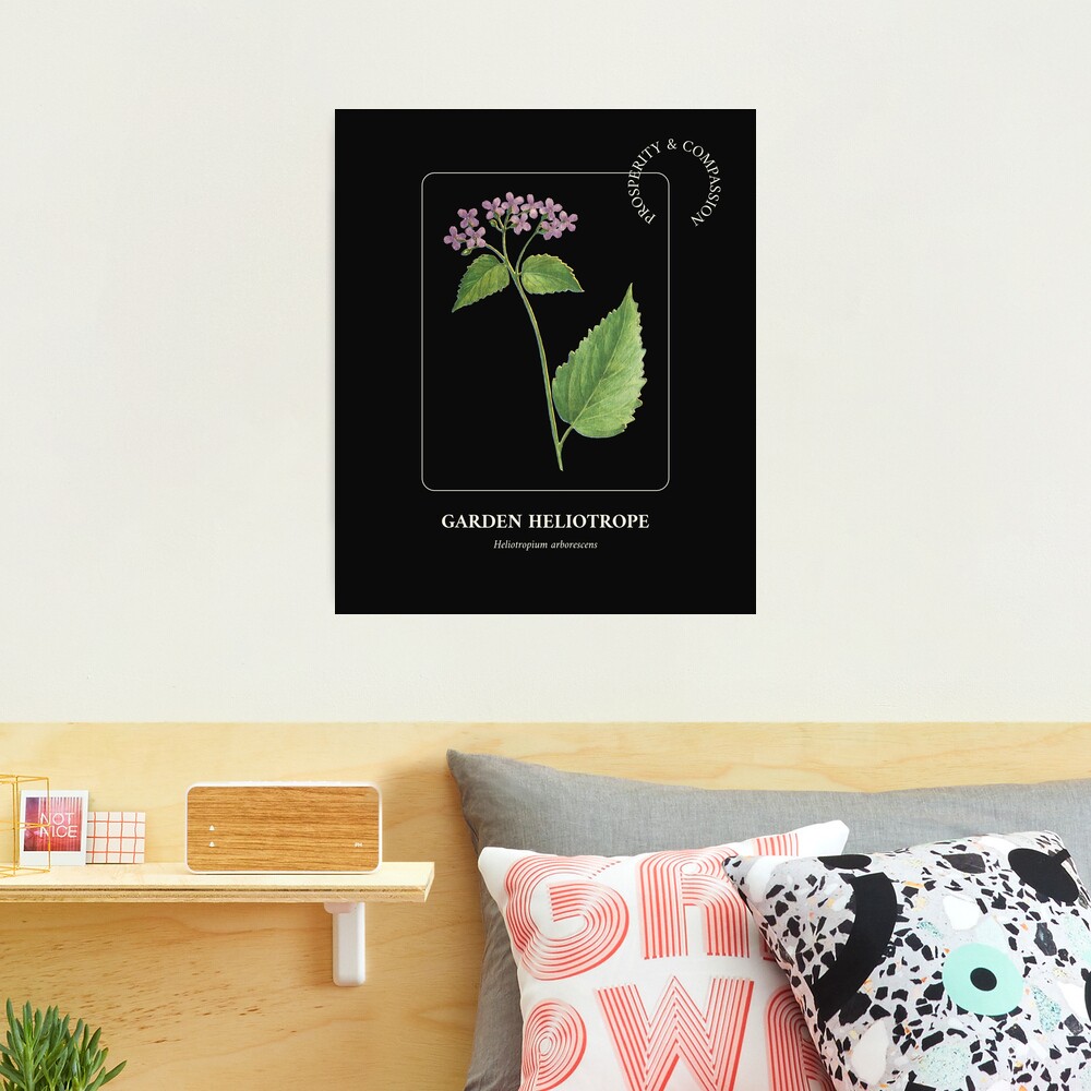 Tint Flower: Over 6,087 Royalty-Free Licensable Stock Vectors & Vector Art  | Shutterstock