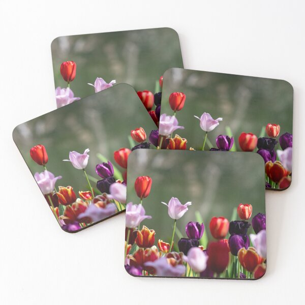 Item preview, Terrific Tulips designed and sold by ValkyriePhotos.