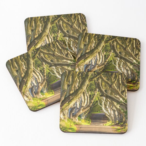 Item preview, Dark Hedges, Northern Ireland designed and sold by Tom  Mackie.