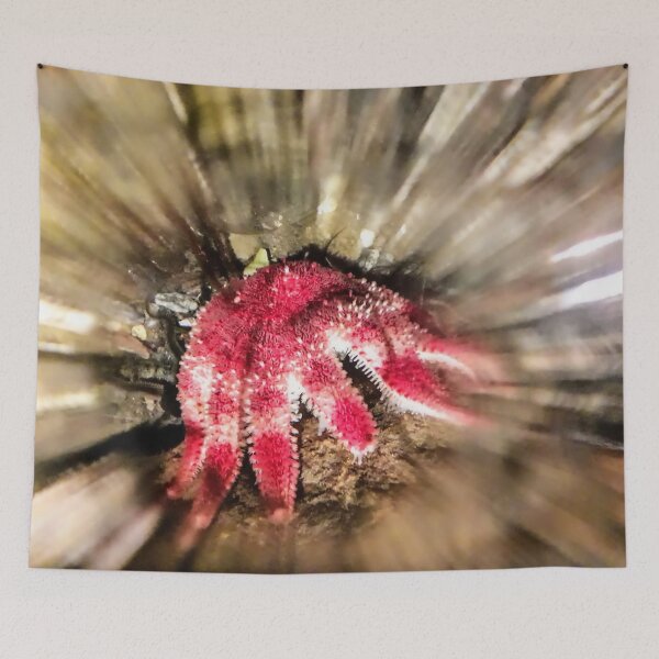 Item preview, Red Starfish Under the sea Depth designed and sold by Tanja Dianova.