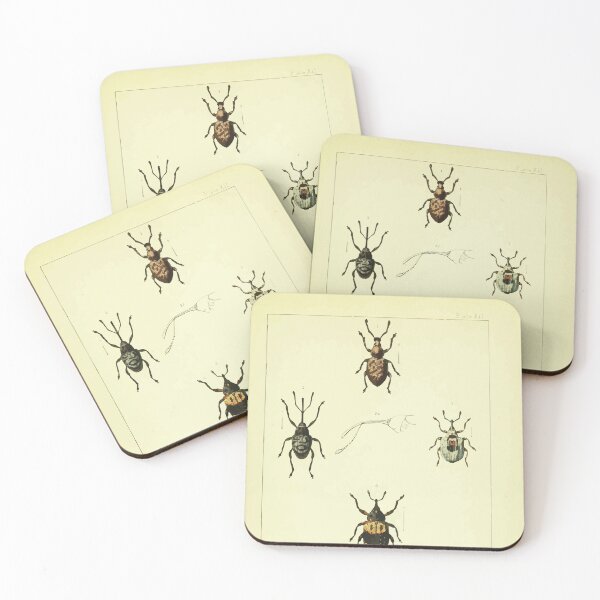 Item preview, British beetles an introduction to the study of our indigenous Coleoptera by Edward Caldwell Rye 1866 350 designed and sold by WetdryvacRB01.