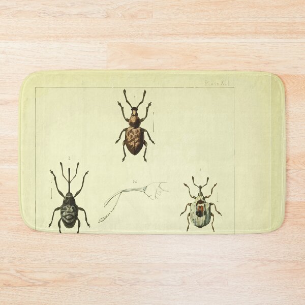 Item preview, British beetles an introduction to the study of our indigenous Coleoptera by Edward Caldwell Rye 1866 350 designed and sold by WetdryvacRB01.