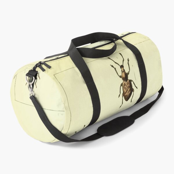 Item preview, British beetles an introduction to the study of our indigenous Coleoptera by Edward Caldwell Rye 1866 350 designed and sold by WetdryvacRB01.