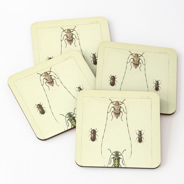 Item preview, British beetles an introduction to the study of our indigenous Coleoptera by Edward Caldwell Rye 1866 354 designed and sold by WetdryvacRB01.