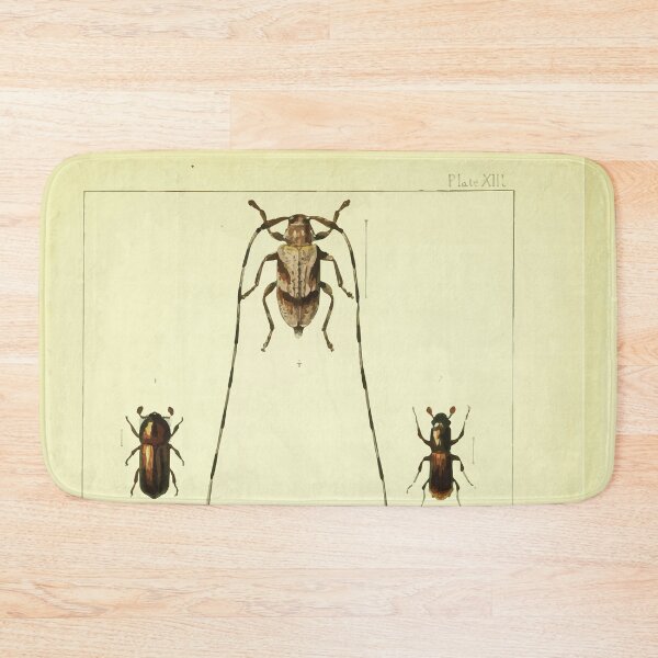 Item preview, British beetles an introduction to the study of our indigenous Coleoptera by Edward Caldwell Rye 1866 354 designed and sold by WetdryvacRB01.