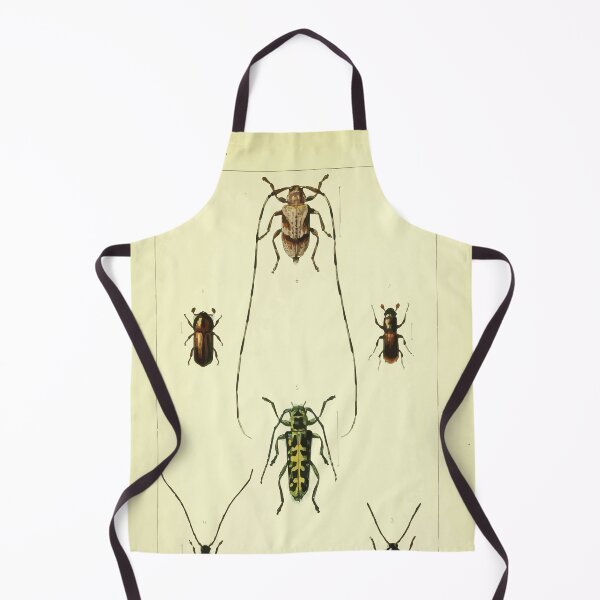 Item preview, British beetles an introduction to the study of our indigenous Coleoptera by Edward Caldwell Rye 1866 354 designed and sold by WetdryvacRB01.