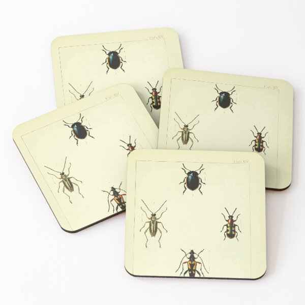 Item preview, British beetles an introduction to the study of our indigenous Coleoptera by Edward Caldwell Rye 1866 358 designed and sold by WetdryvacRB01.