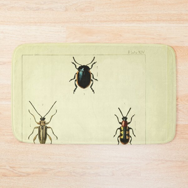 Item preview, British beetles an introduction to the study of our indigenous Coleoptera by Edward Caldwell Rye 1866 358 designed and sold by WetdryvacRB01.