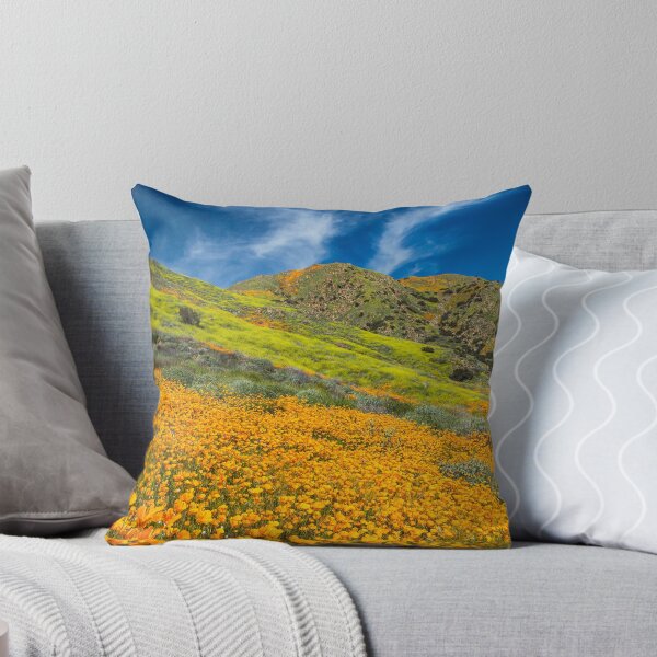 Item preview, Super Bloom of California Poppies, near Lake Elsinore, California, USA designed and sold by Tom  Mackie.