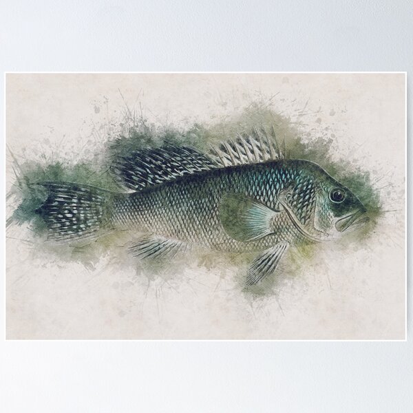 Item preview, Sea Bass Watercolor Art for the Fishing Lovers and Anglers / Gifts for Fisherman designed and sold by Naumovski.