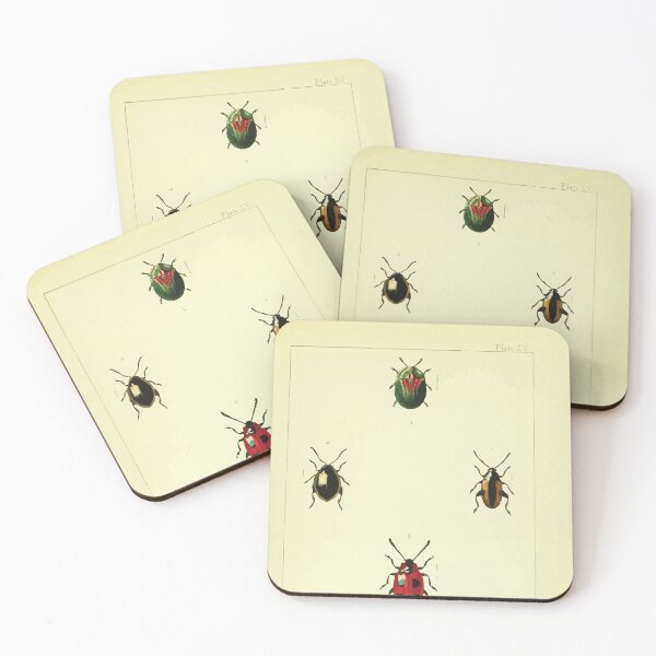 Item preview, British beetles an introduction to the study of our indigenous Coleoptera by Edward Caldwell Rye 1866 362 designed and sold by WetdryvacRB01.