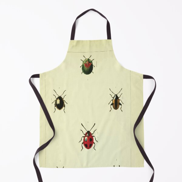Item preview, British beetles an introduction to the study of our indigenous Coleoptera by Edward Caldwell Rye 1866 362 designed and sold by WetdryvacRB01.