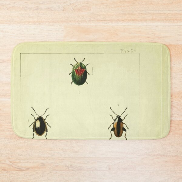 Item preview, British beetles an introduction to the study of our indigenous Coleoptera by Edward Caldwell Rye 1866 362 designed and sold by WetdryvacRB01.