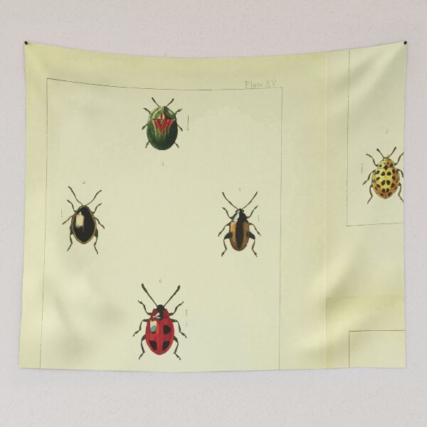 Item preview, British beetles an introduction to the study of our indigenous Coleoptera by Edward Caldwell Rye 1866 362 designed and sold by WetdryvacRB01.