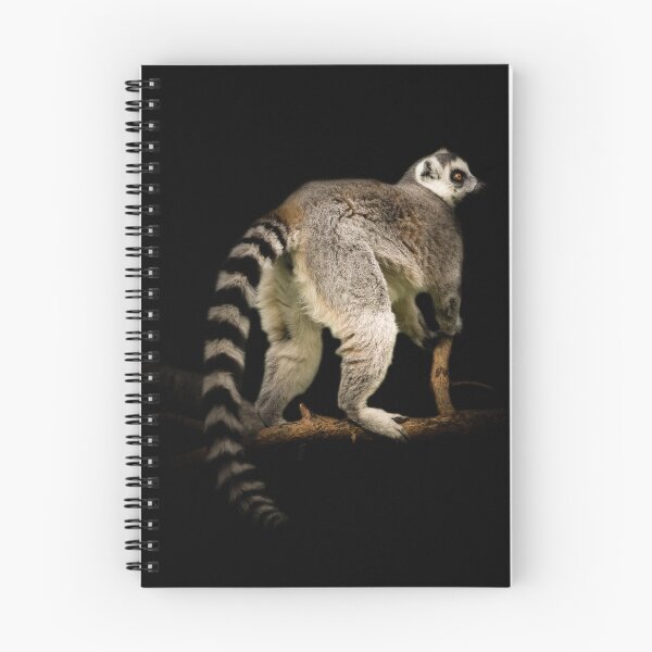 Item preview, Ring Tailed Lemur designed and sold by RichardSayer.