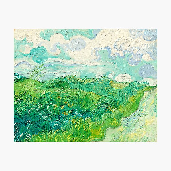 Green Wheat Fields, Auvers - Vincent Van Gogh Photographic Print