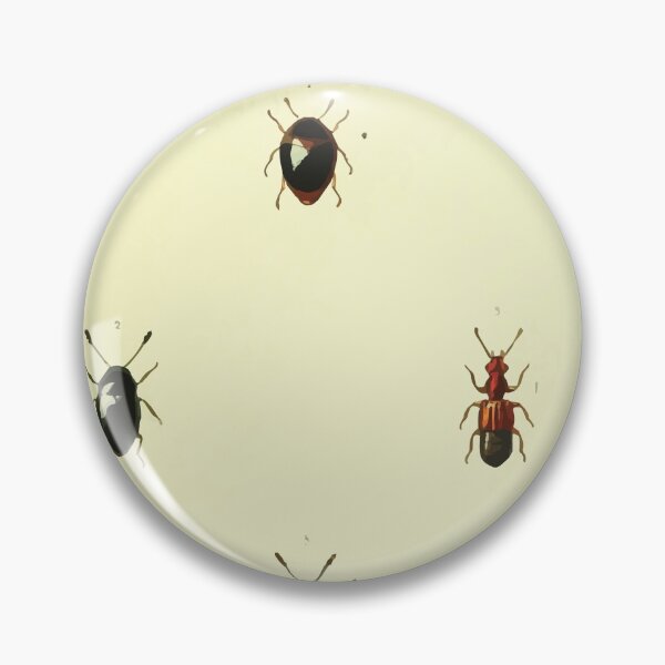 Item preview, British beetles an introduction to the study of our indigenous Coleoptera by Edward Caldwell Rye 1866 366 designed and sold by WetdryvacRB01.