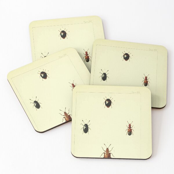 Item preview, British beetles an introduction to the study of our indigenous Coleoptera by Edward Caldwell Rye 1866 366 designed and sold by WetdryvacRB01.