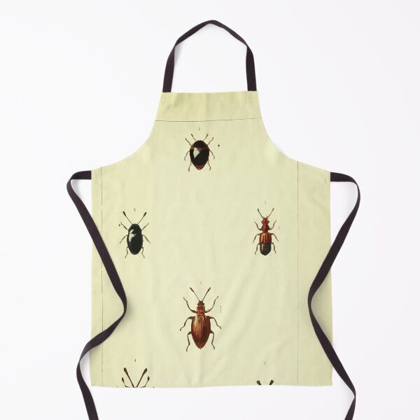 Item preview, British beetles an introduction to the study of our indigenous Coleoptera by Edward Caldwell Rye 1866 366 designed and sold by WetdryvacRB01.