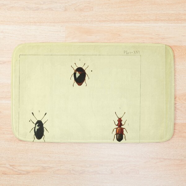 Item preview, British beetles an introduction to the study of our indigenous Coleoptera by Edward Caldwell Rye 1866 366 designed and sold by WetdryvacRB01.