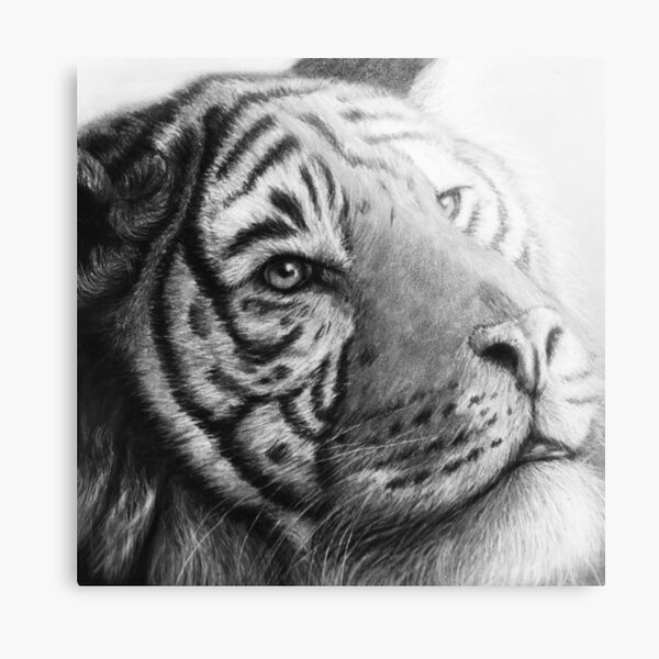 Item preview, Icy Stripes - Tiger Artwork, Black and White designed and sold by Shelleywebb.