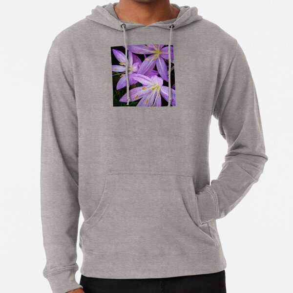 Saffron Crocus Sweatshirts Hoodies Redbubble