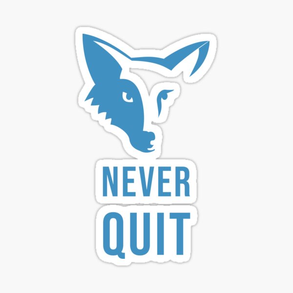 lcfc merchandise