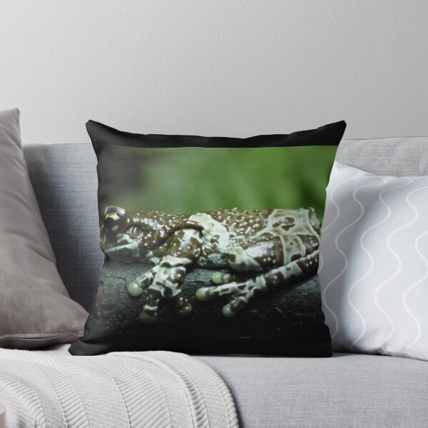 Item preview, Resting Tree Frog designed and sold by Kassidy Coleman.