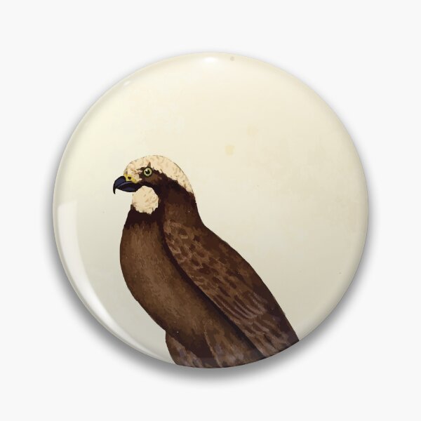 Item preview, British ornithology  being the history with a coloured representation of every known species of British birds George Graves 1821 002 designed and sold by WetdryvacRB01.