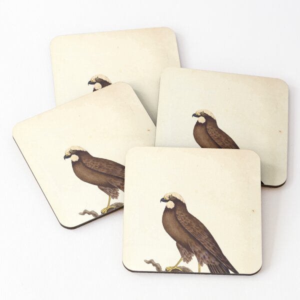 Item preview, British ornithology  being the history with a coloured representation of every known species of British birds George Graves 1821 002 designed and sold by WetdryvacRB01.