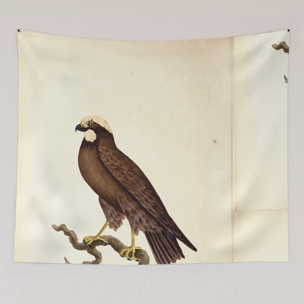 Item preview, British ornithology  being the history with a coloured representation of every known species of British birds George Graves 1821 002 designed and sold by WetdryvacRB01.