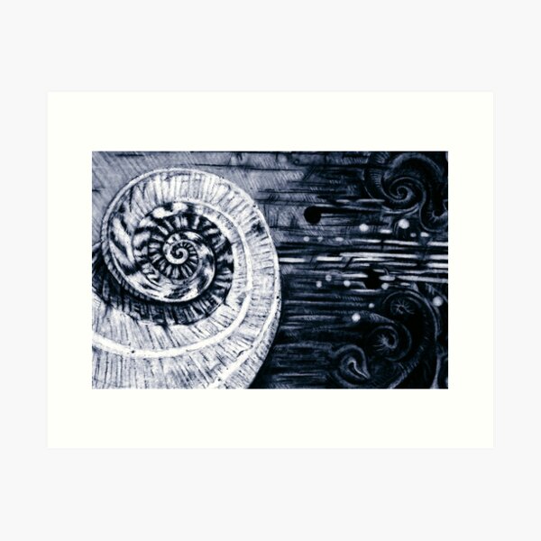 Shell Art Print