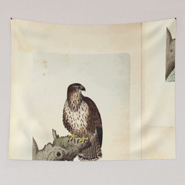 Item preview, British ornithology  being the history with a coloured representation of every known species of British birds George Graves 1821 003 designed and sold by WetdryvacRB01.