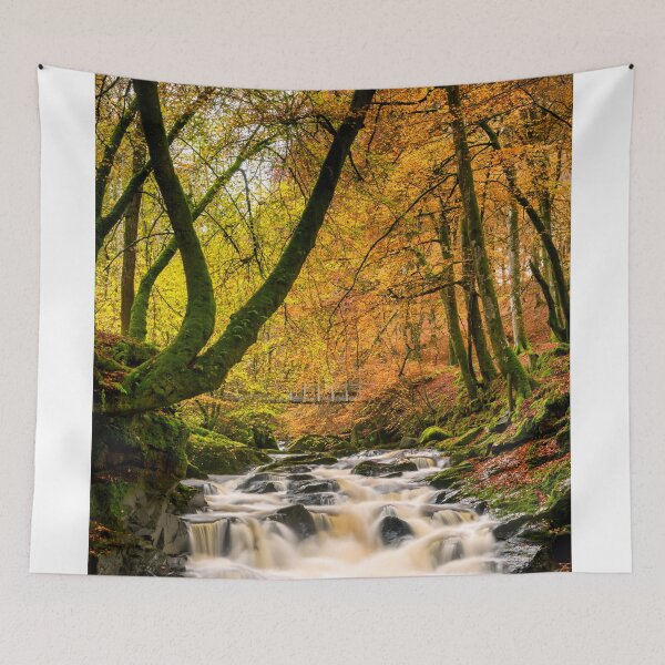 Item preview, Birks of Aberfeldy in Autumn, Aberfeldy, Highland Perthshire, Scotland designed and sold by Tom  Mackie.
