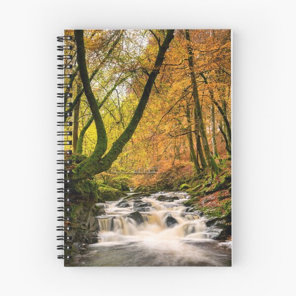 Item preview, Birks of Aberfeldy in Autumn, Aberfeldy, Highland Perthshire, Scotland designed and sold by Tom  Mackie.