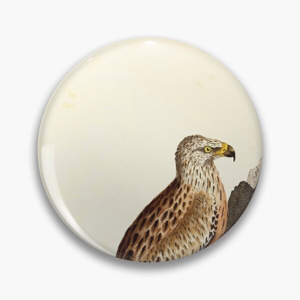 Item preview, British ornithology  being the history with a coloured representation of every known species of British birds George Graves 1821 004 designed and sold by WetdryvacRB01.