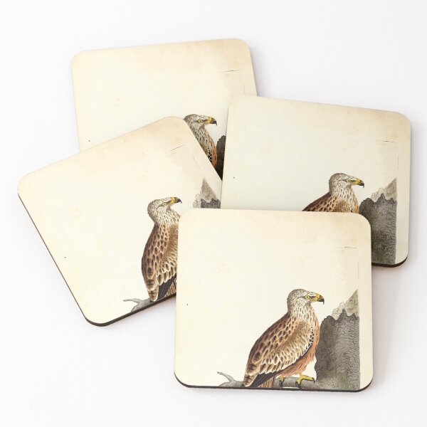 Item preview, British ornithology  being the history with a coloured representation of every known species of British birds George Graves 1821 004 designed and sold by WetdryvacRB01.
