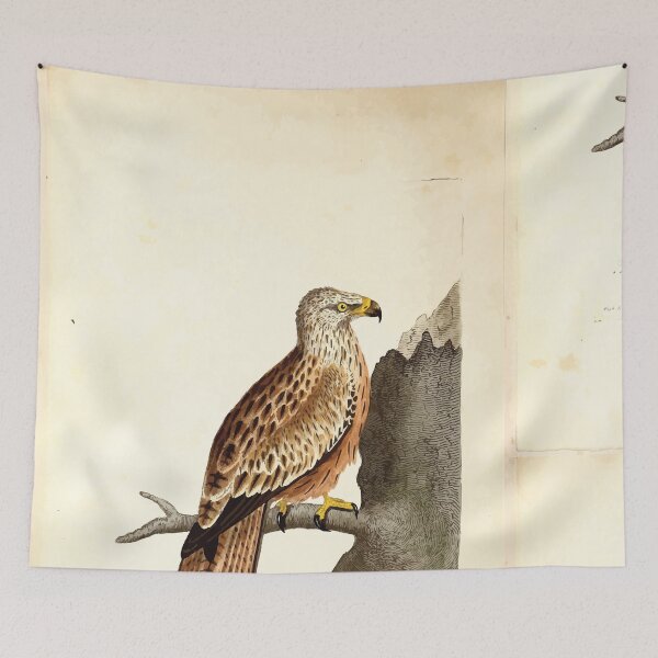 Item preview, British ornithology  being the history with a coloured representation of every known species of British birds George Graves 1821 004 designed and sold by WetdryvacRB01.