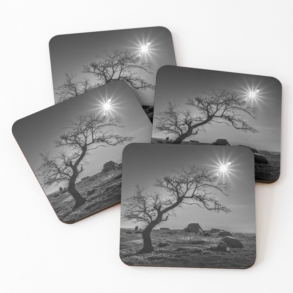 Item preview, Coasters (Set of 4) designed and sold by Maiden.