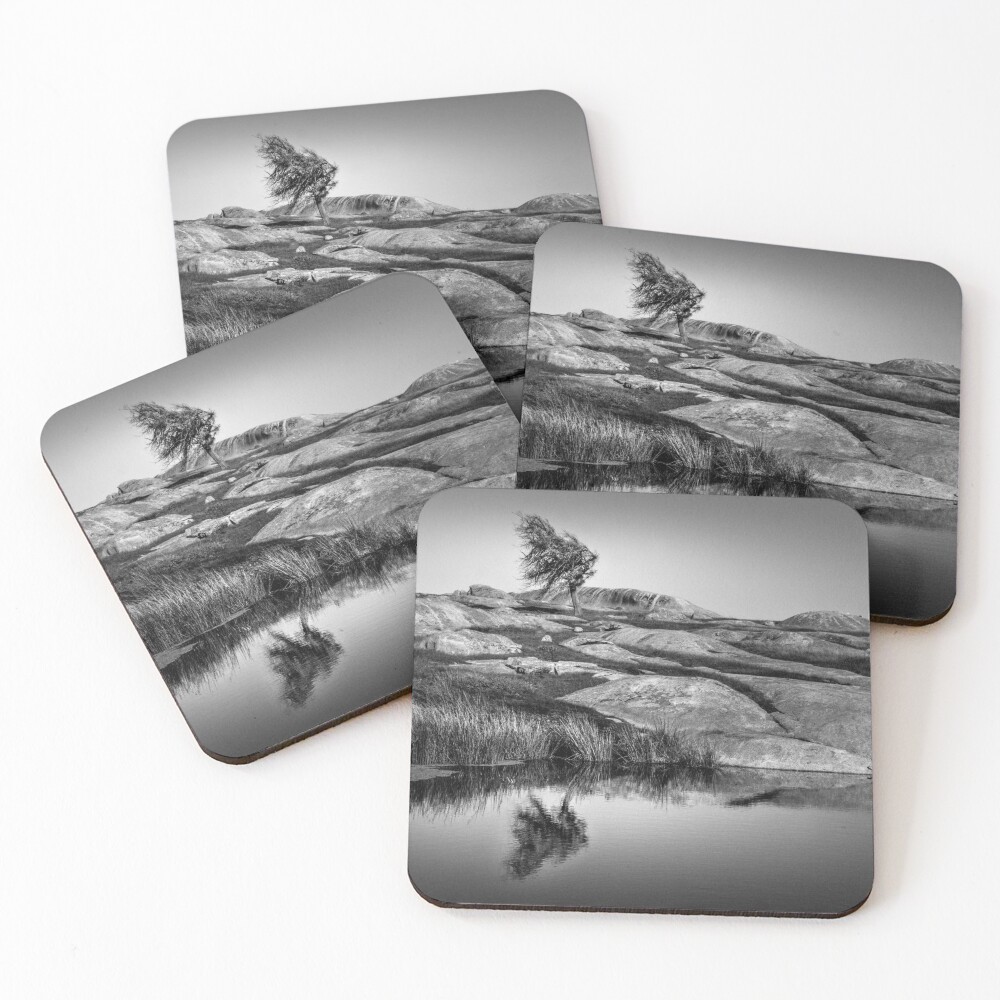 Item preview, Coasters (Set of 4) designed and sold by Maiden.
