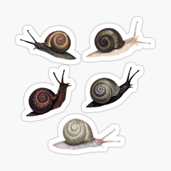 Little Snail Friends - Stickers Sticker