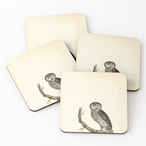 Item preview, British ornithology  being the history with a coloured representation of every known species of British birds George Graves 1821 006 designed and sold by WetdryvacRB01.