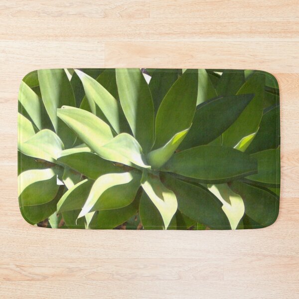 Item preview, Agave plants, en masse. Striking, sculptural, grey green sun lovers. designed and sold by JellyBeenzz.