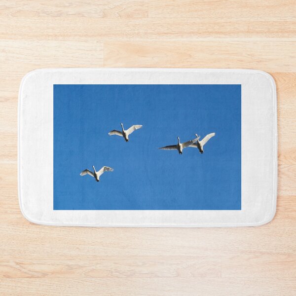 Item preview, What about social distancing. Whooper swan designed and sold by Jouko Lehto Photography.