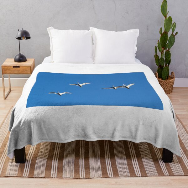 Item preview, What about social distancing. Whooper swan designed and sold by Jouko Lehto Photography.