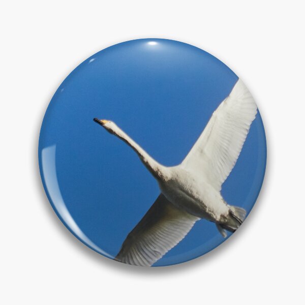 Item preview, Formation ready. Whooper swan designed and sold by Jouko Lehto Photography.