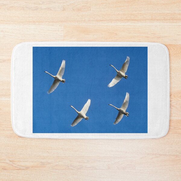 Item preview, Formation ready. Whooper swan designed and sold by Jouko Lehto Photography.