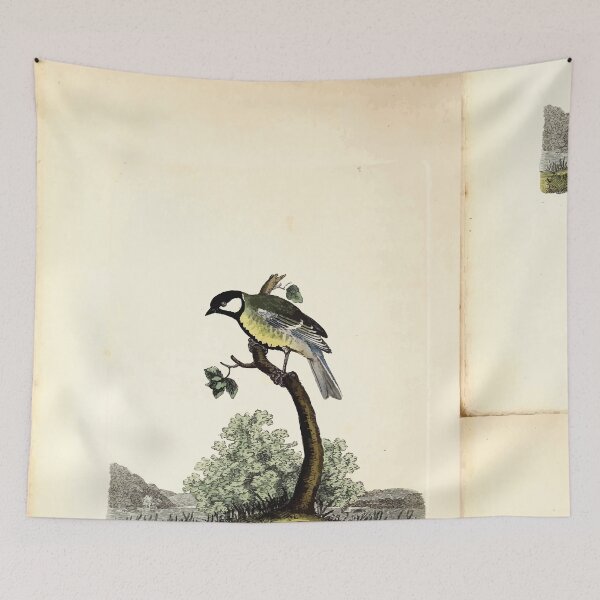 Item preview, British ornithology  being the history with a coloured representation of every known species of British birds George Graves 1821 008 designed and sold by WetdryvacRB01.