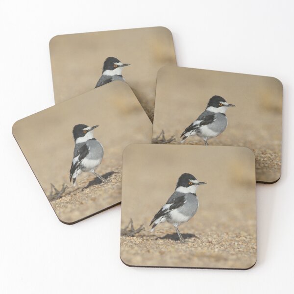Item preview, White-tailed Shrike designed and sold by Wouter van Spijker.