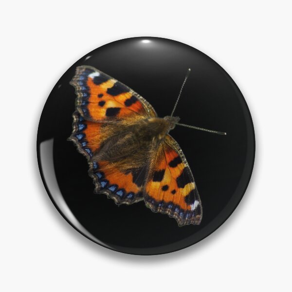 Item preview, Tortoiseshell butterfly from Dove Stone Reservoir Sep-2020 designed and sold by PicsByTony.